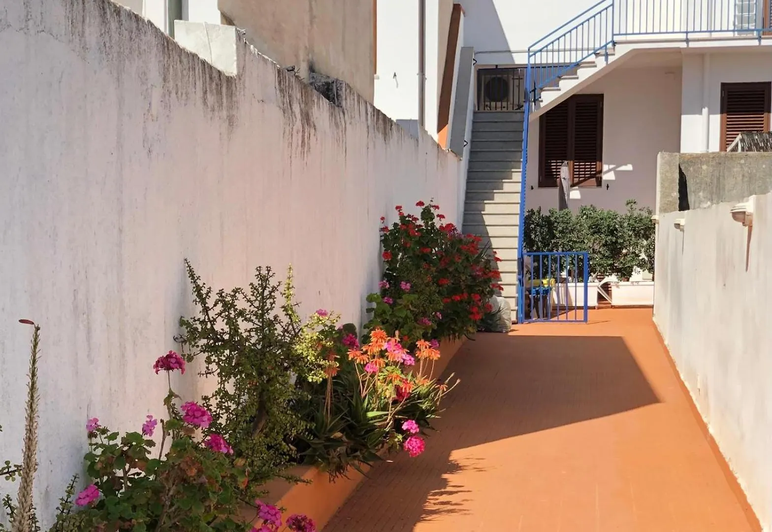 Lägenhet Appartamenti Arcobaleno San Vito Lo Capo